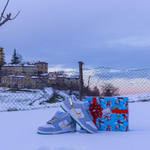 Nike SB Dunk Low x Sean Cliver "Holiday Special"